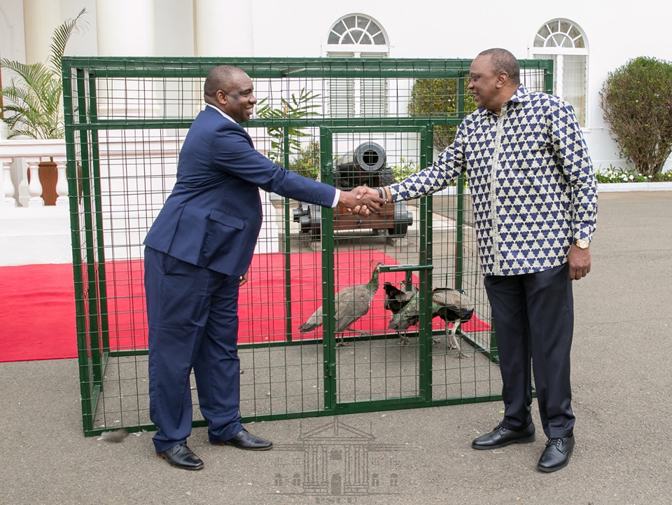 Tausi Wangu : President Uhuru receives four peacocks from Magufuli