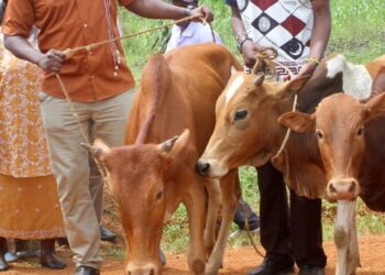 President: Let Us Stop Dowry Payment In The Country