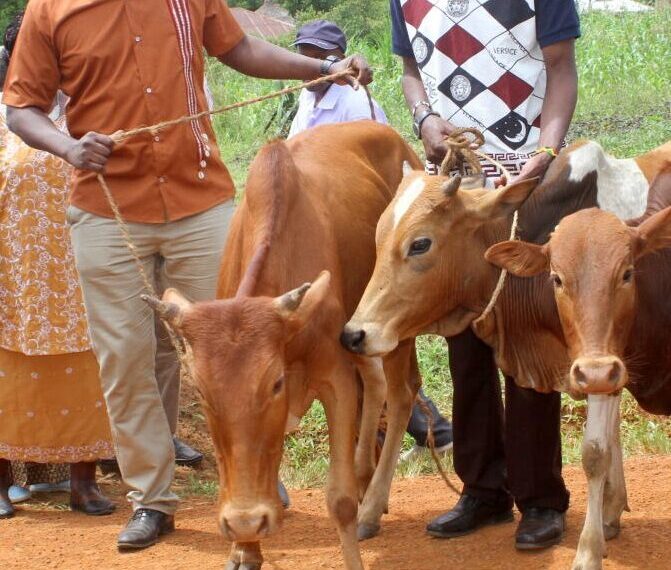 President: Let Us Stop Dowry Payment In The Country