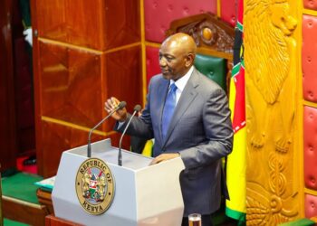 Kenya is doing well, Ruto says as he tells off critics