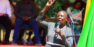 Serikali kuu saidia: Elderly woman vows to quit selling booze and bhang for two sacks of maize aid!