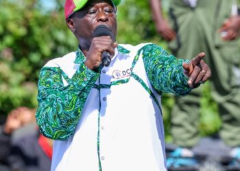 Kirinyaga Woman Rep accuses DCP deputy leader Cleophas Malala of secret meeting with MCAs to split Gachagua’s Party