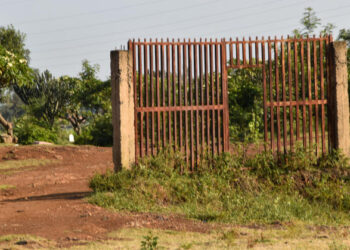 Shock of mass grave with 14 mutilated bodies in Kericho