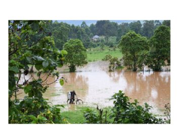 Ravages of extreme whether: Over 200 families left homeless as deadly floods devastate Kisumu’s Kotunga village