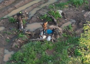 Emergency Rescue Needed: Stranded farmer trapped on island of raging Athi River is starving.