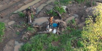 Emergency Rescue Needed: Stranded farmer trapped on island of raging Athi River is starving.