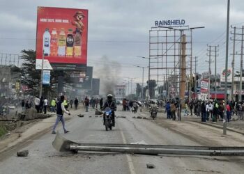 Deaths, chaos as transport services are paralysed in Kenya
