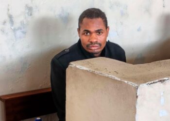 High court considers South Africa psychiatric evaluation Kalombotole.