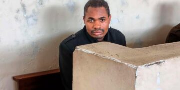 High court considers South Africa psychiatric evaluation Kalombotole.