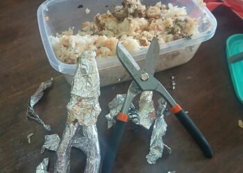 Busted: Woman fails to smuggle jailbreak tools inside rice plate at Ruai station.