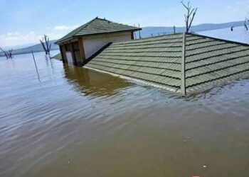 Extended El Niño: Kenya activates preparedness plan following WMO warning