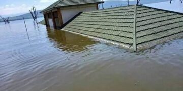 Extended El Niño: Kenya activates preparedness plan following WMO warning