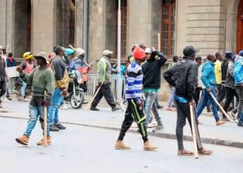 Report: Western Kenya, Rift Valley have highest number of goons