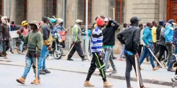 Report: Western Kenya, Rift Valley have highest number of goons