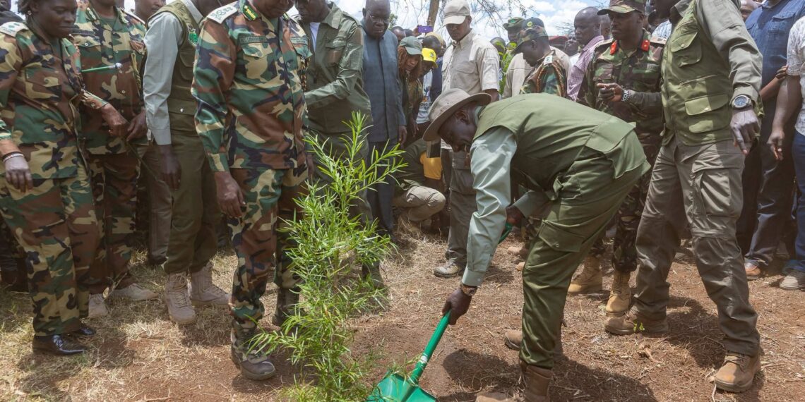 Climate Action: President Ruto leads nationwide Mazingira Day tree-planting effort.