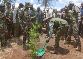 Climate Action: President Ruto leads nationwide Mazingira Day tree-planting effort.