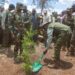Climate Action: President Ruto leads nationwide Mazingira Day tree-planting effort.